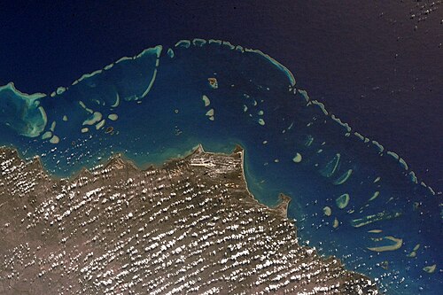 Reef Restoration and Adaptation Program